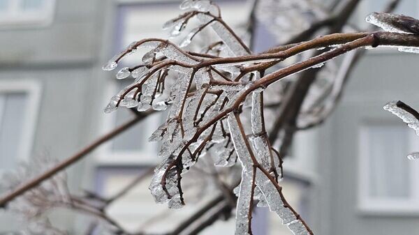    © Sputnik / Виктор Толочко