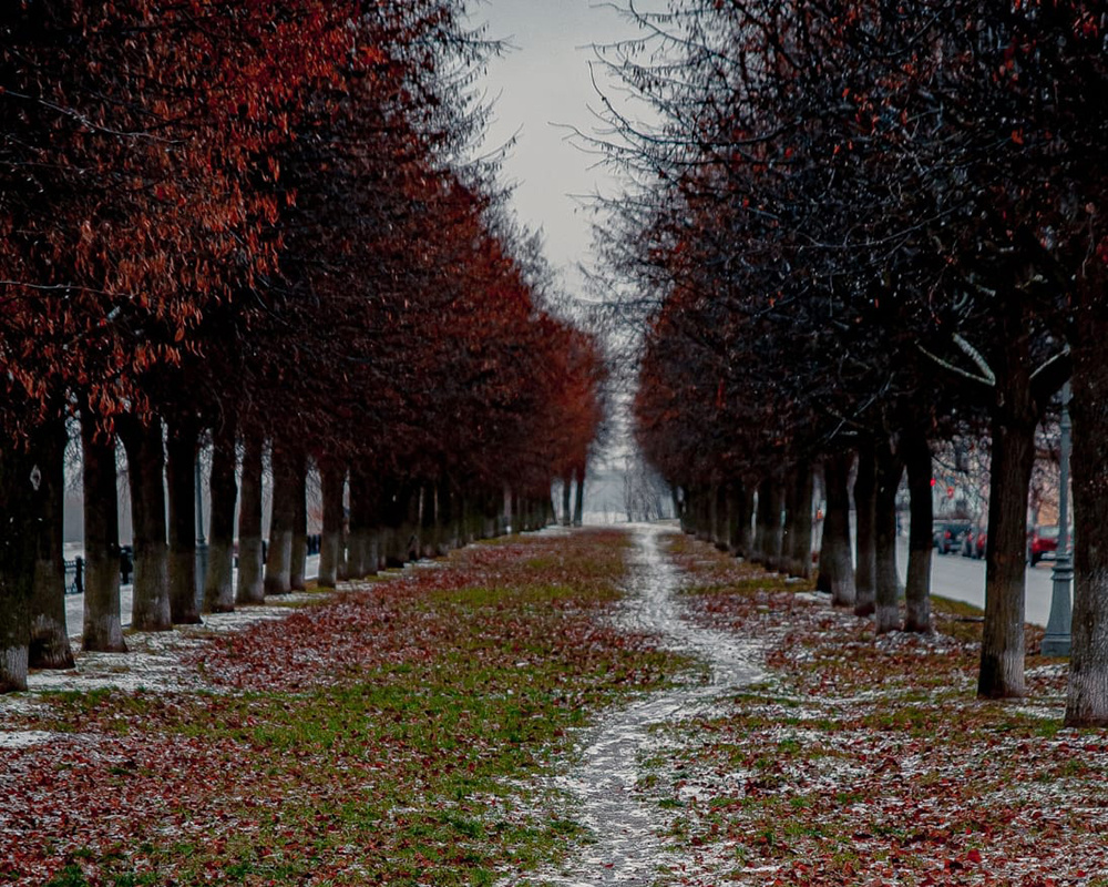 Погода в Твери в выходные. Пасмурная суббота, солнечное воскресенье