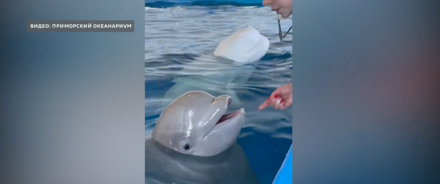    Источник фото: