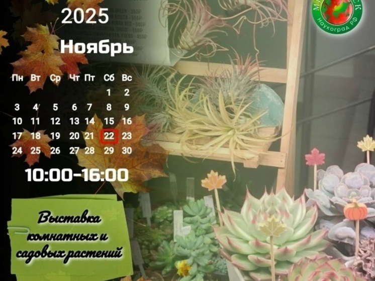     Источник: Администрация г. Мичуринска