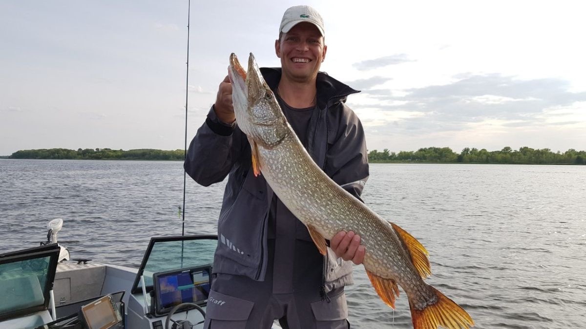 Рыбалка с гидом в Самарской области