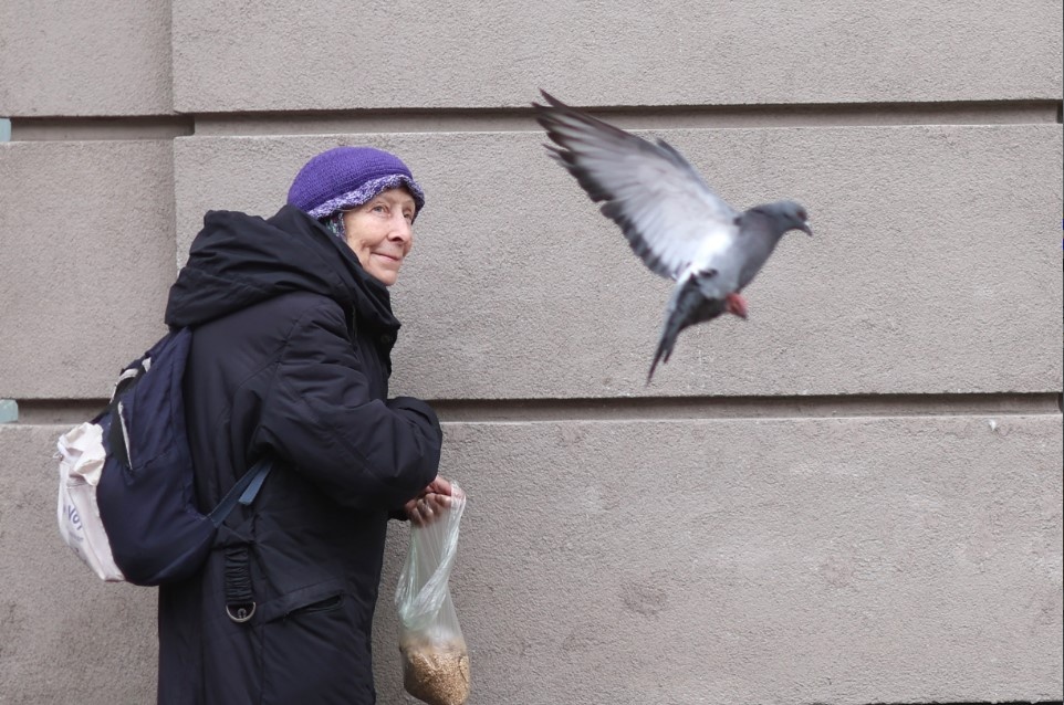    Фото: Belkin Alexey/news.ru/Globallookpress