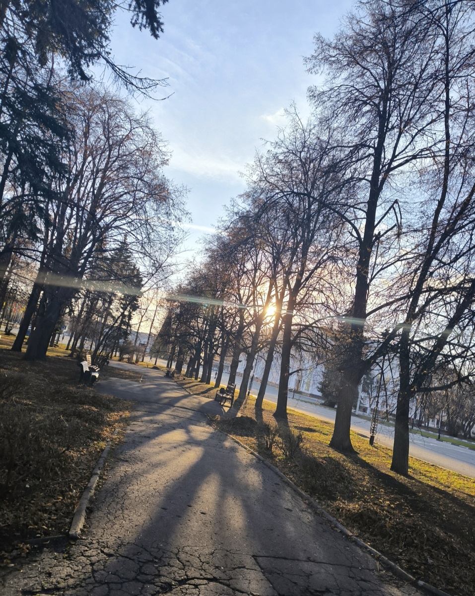 Все фотографии в статье авторские