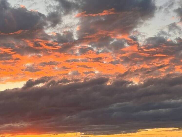     Образец зеленоватого метеорита продемонстрировали 20 ноября на пресс-конференции в Институте геохимии и аналитической химии им. В.И. Вернадского РАН (ГЕОХИ). Фото: Архив МК в Великом Новгороде