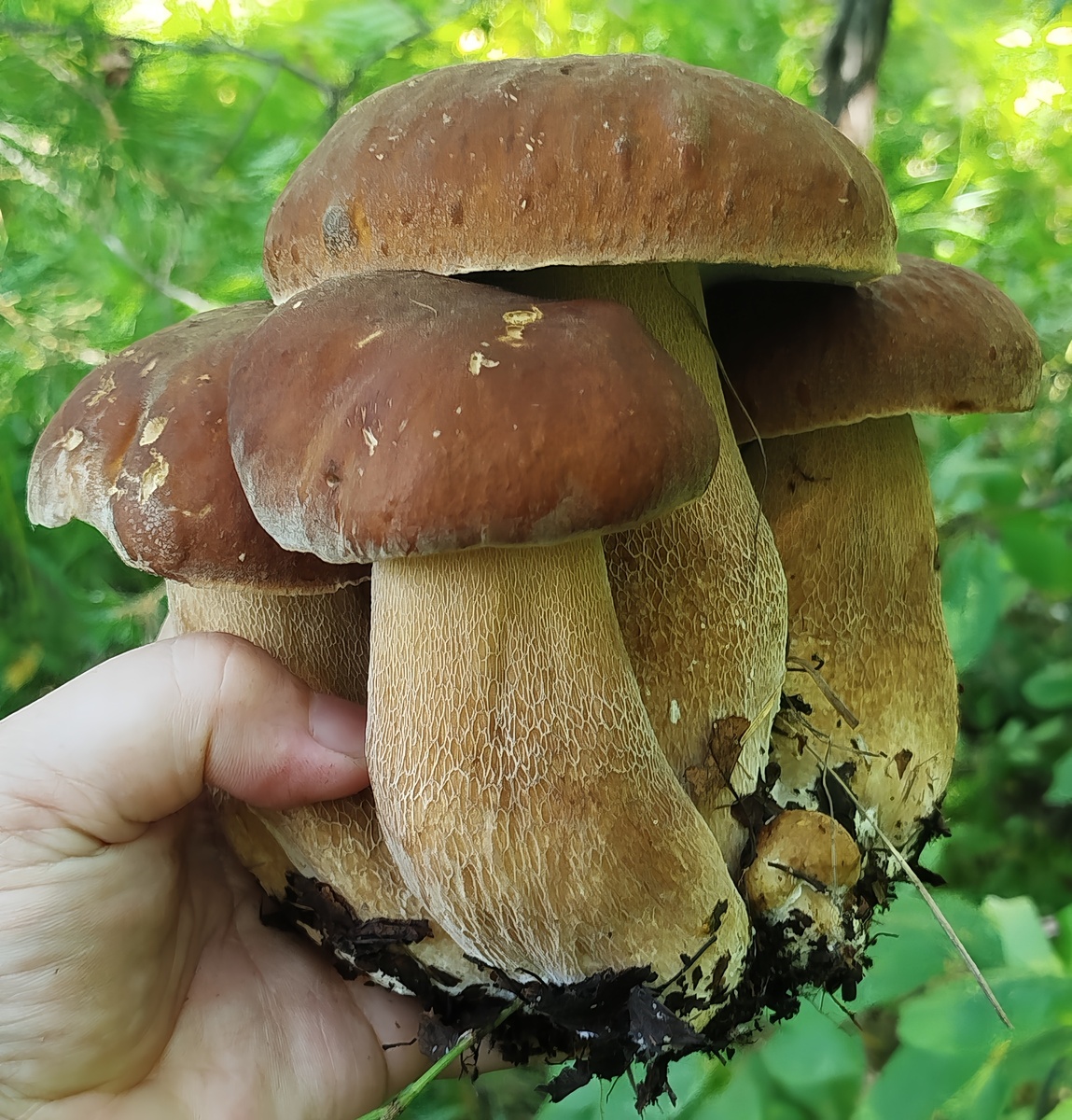 Фото Елены Тороковой.