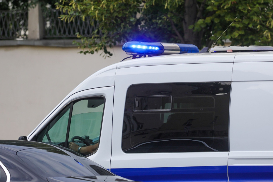    Наталья Шатохина/NEWS.ru