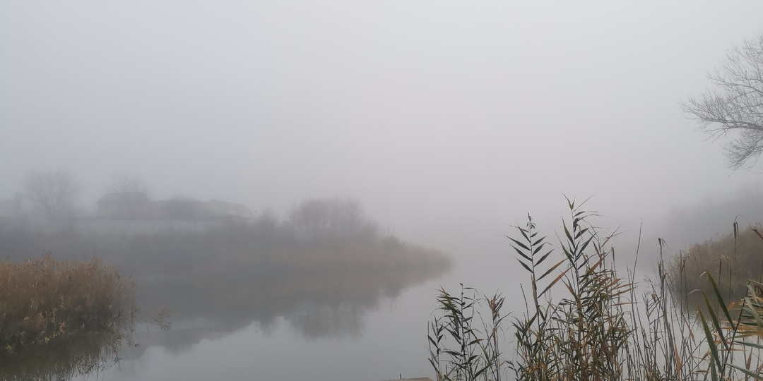 Прогулка в тумане