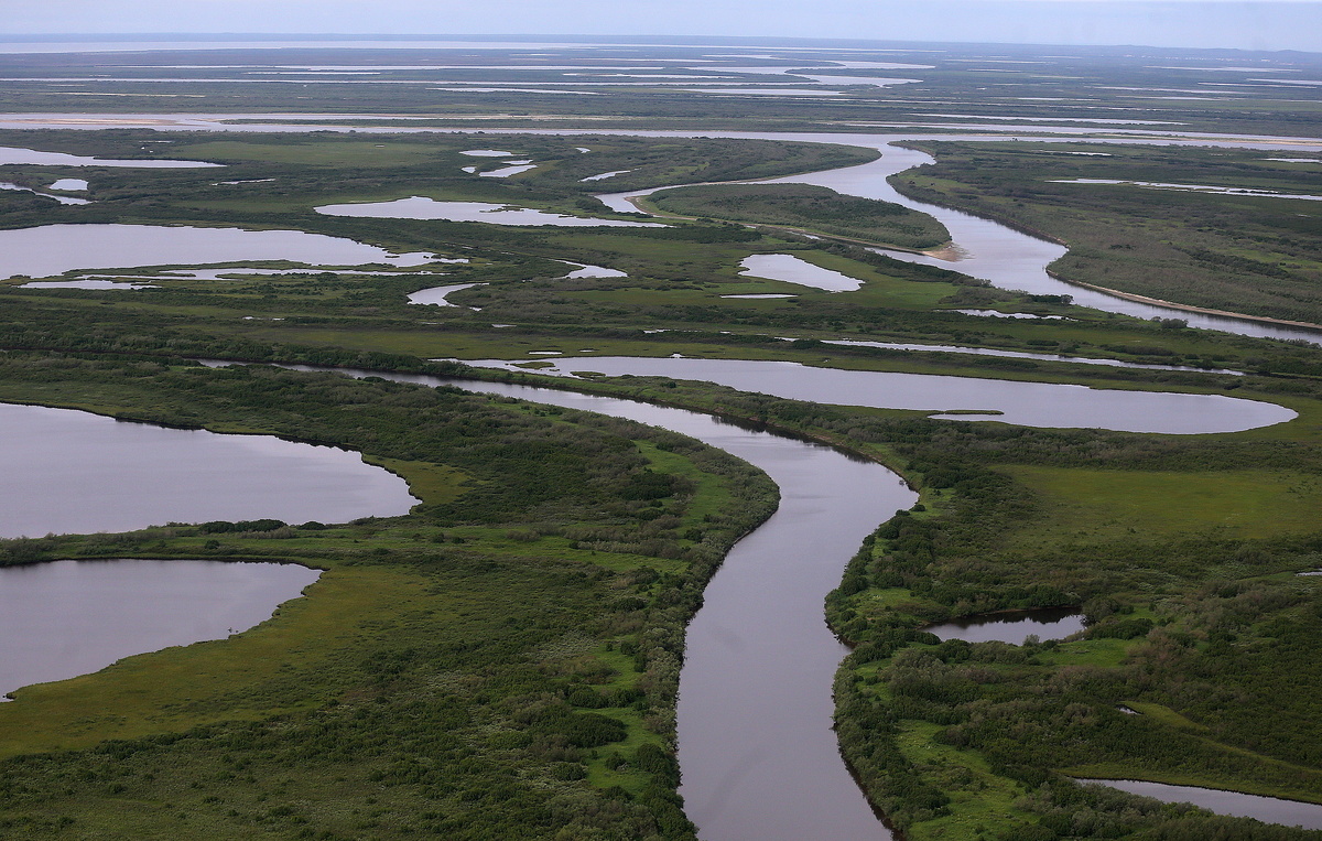    Пойма реки Печора  Сергей Фадеичев/ТАСС
