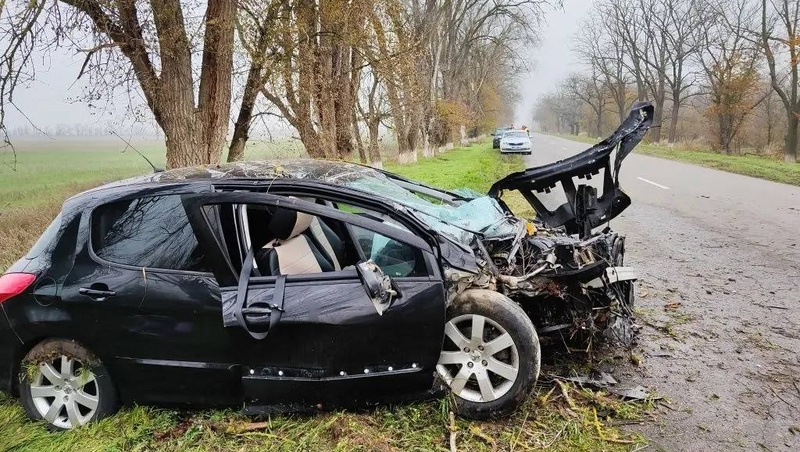    Стад водителя на момент аварии составлял восемь дней Фото: УГИБДД ГУ МВД России по Ставропольскому краю
