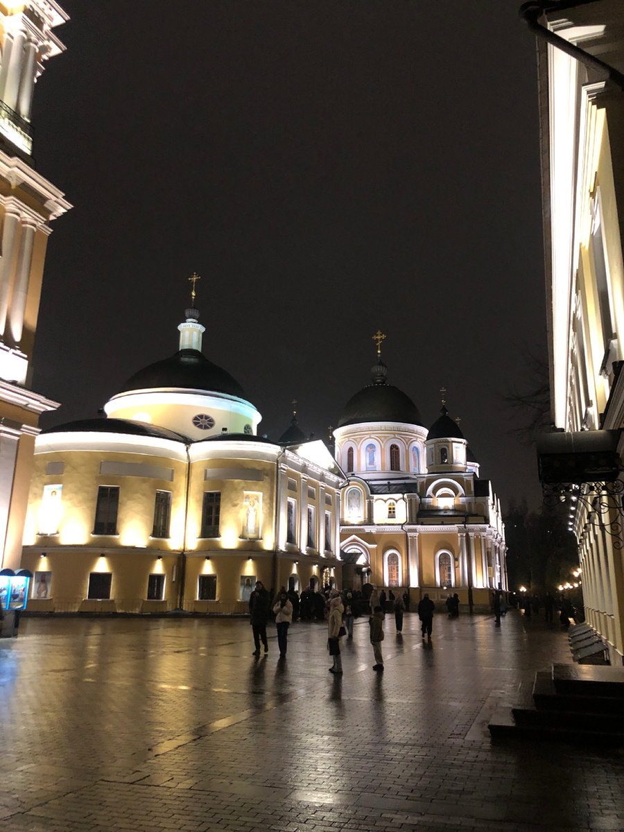 Покровский монастырь с 21 на 22 ноября 2025 года автор фото: художник Летящая Душа Анастасия Соловьева  