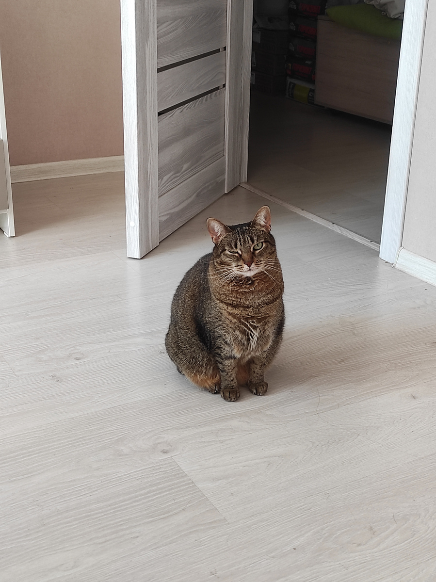 Антонина Петровна осуждает манипуляции 