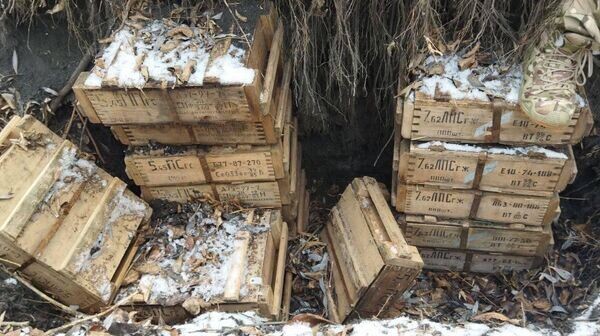    © Фото : Телеграм-канал правительства Курской области