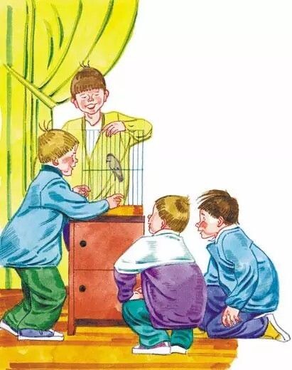 Картинка из открытых источников сети Интернет 