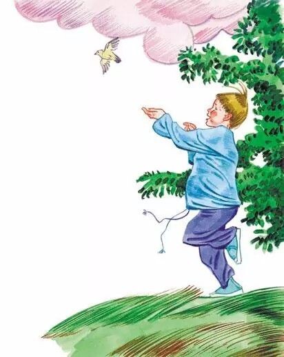 Картинка из открытых источников сети Интернет 