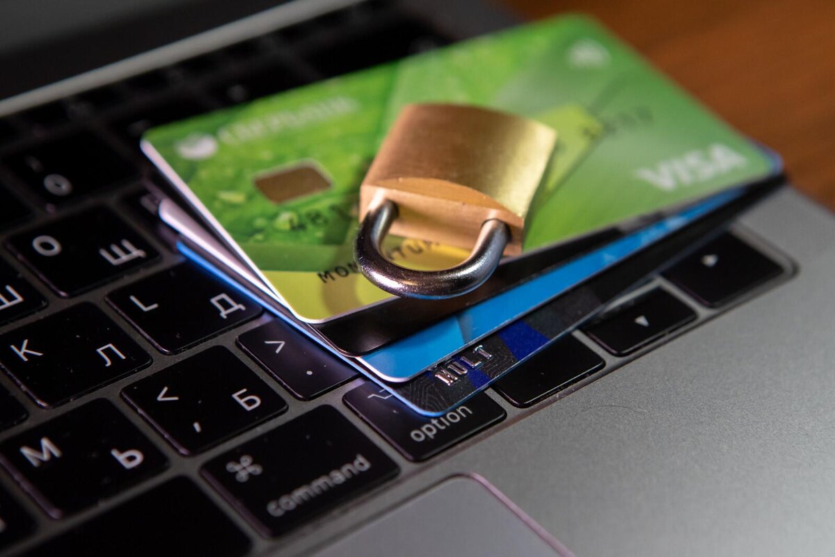 Фото: Олег Золото/«Петербургский дневник»