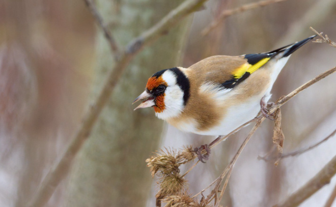    © Станислав Крутоверцев/ t.me/kazdoytvaripopare