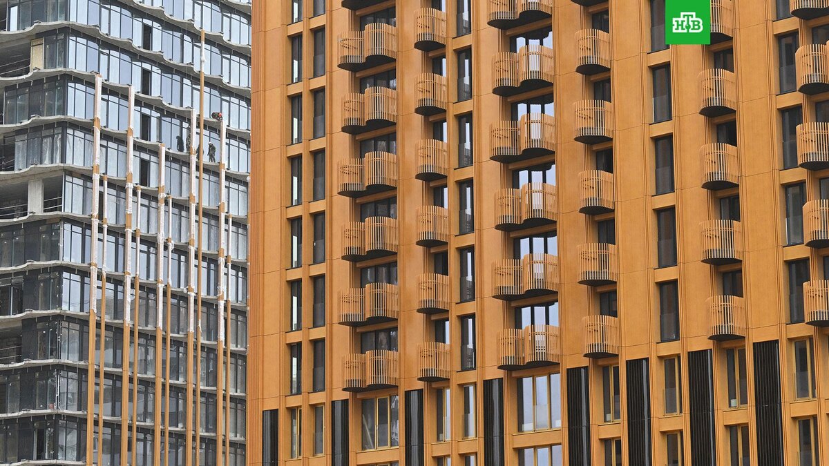    Фото: РИА Новости © 2025, Илья Питалев