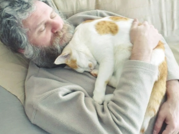 Почему кошки любят спать у хозяина на груди. Что на самом деле скрывает эта привычка