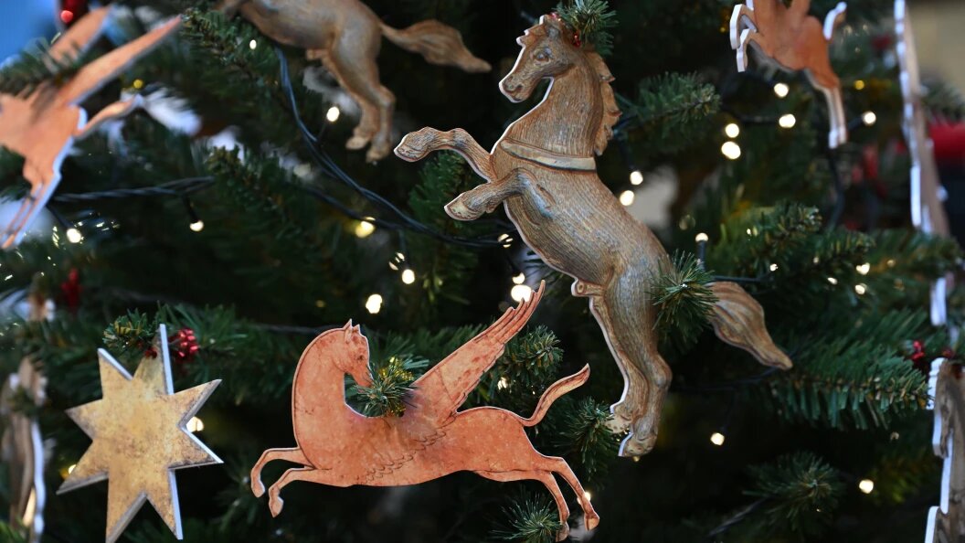    фото: Komsomolskaya Pravda/Globallookpress