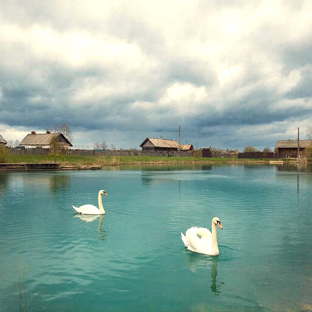 GigaChat.Озеро хутор.
