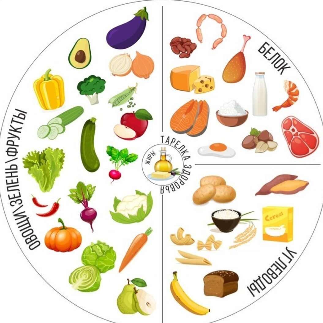 Гарвардская тарелка- питания.