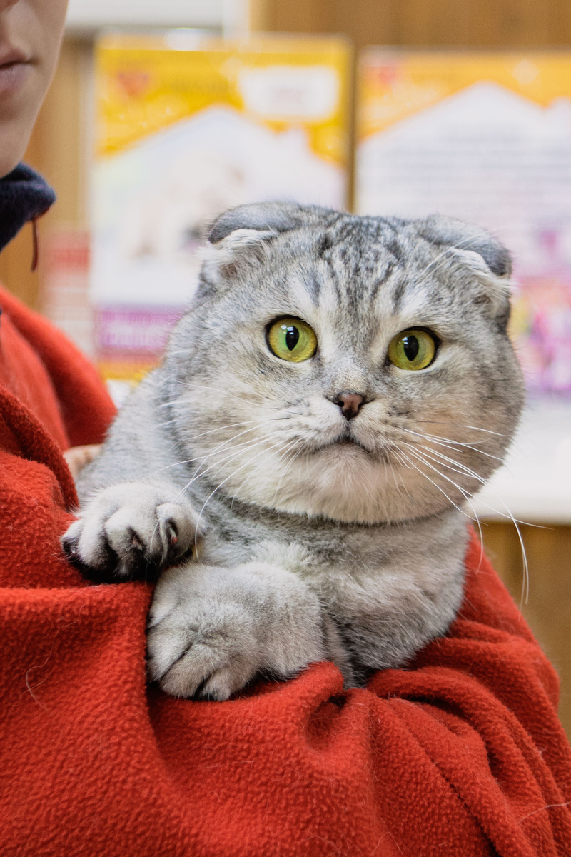 Помогите сделать жизнь Бэна максимально комфортной и облегчить его страдания!