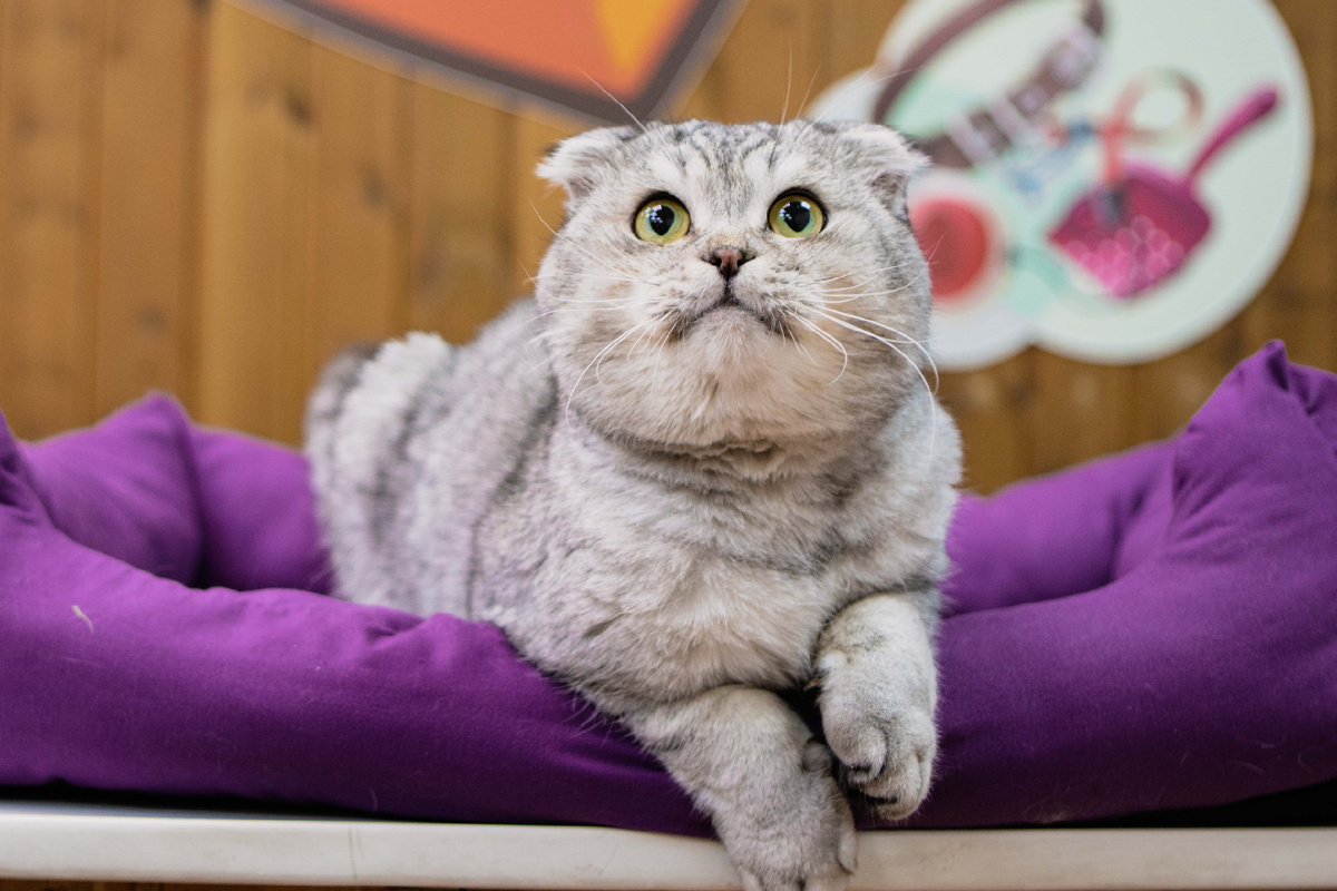 Каждый шаг, каждый прыжок для него — это испытание.