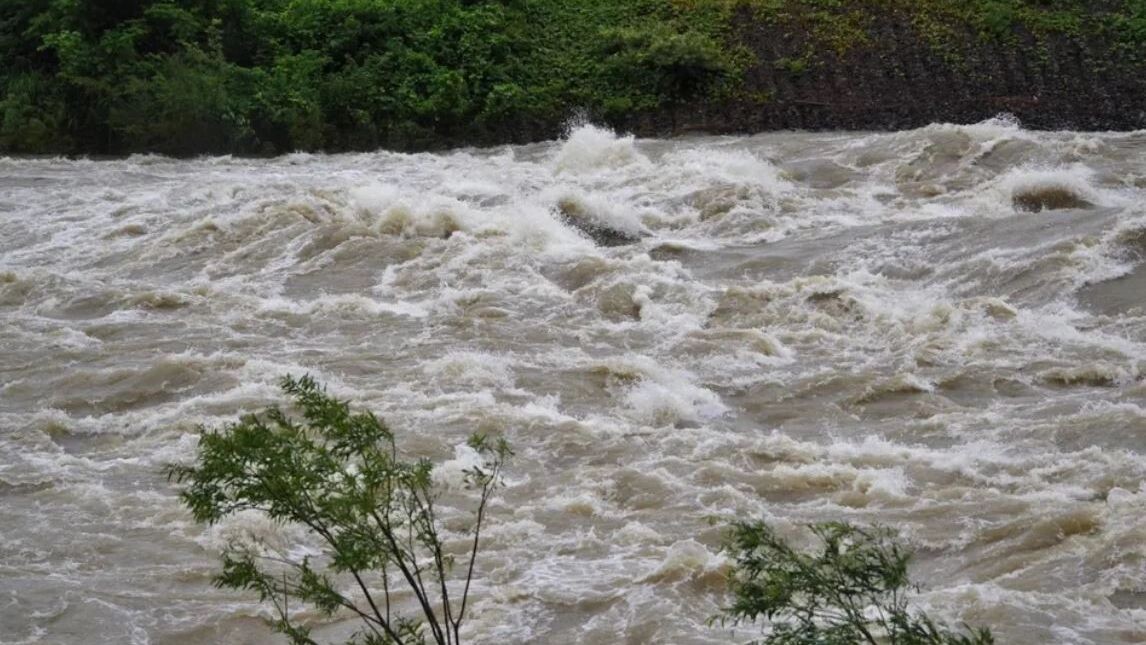    Фото: gorosan/Shutterstock/Fotodom