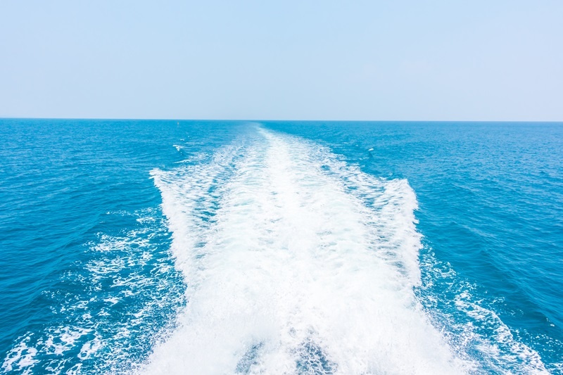    Фото: mrsiraphol/Freepik