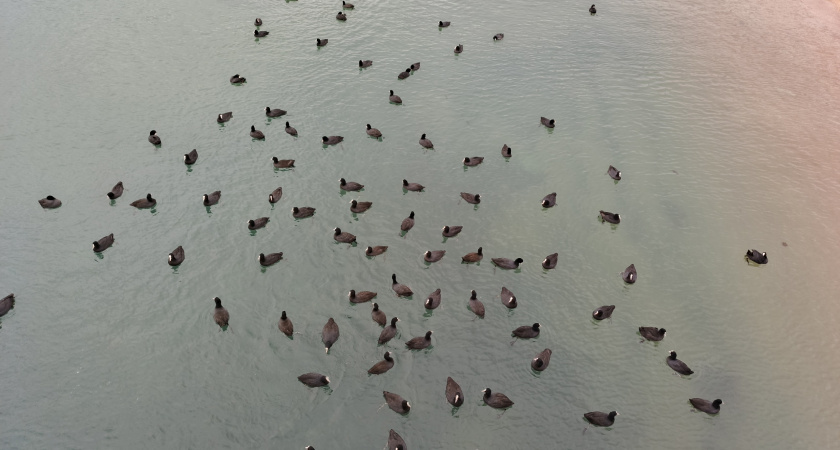    Полная отмена зимы: Вильфанд потряс жителей Центральной России новым прогнозом