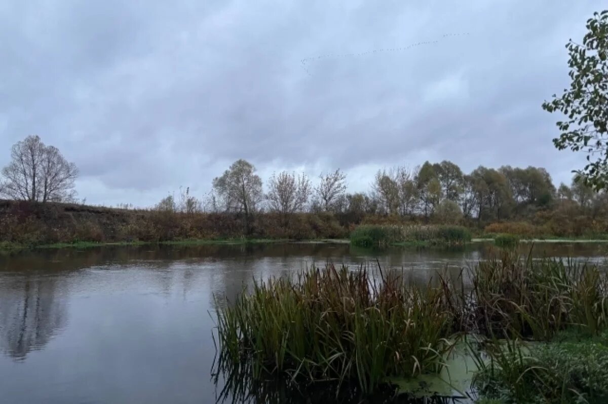    «Водолет» планирует запустить речное сообщение между Новгородом и Выксой