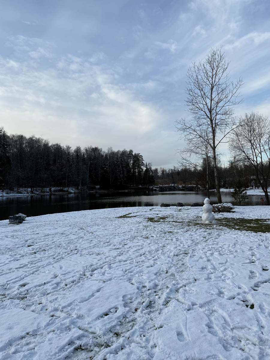 Фото автора канала. Парк «Ближняя дача».