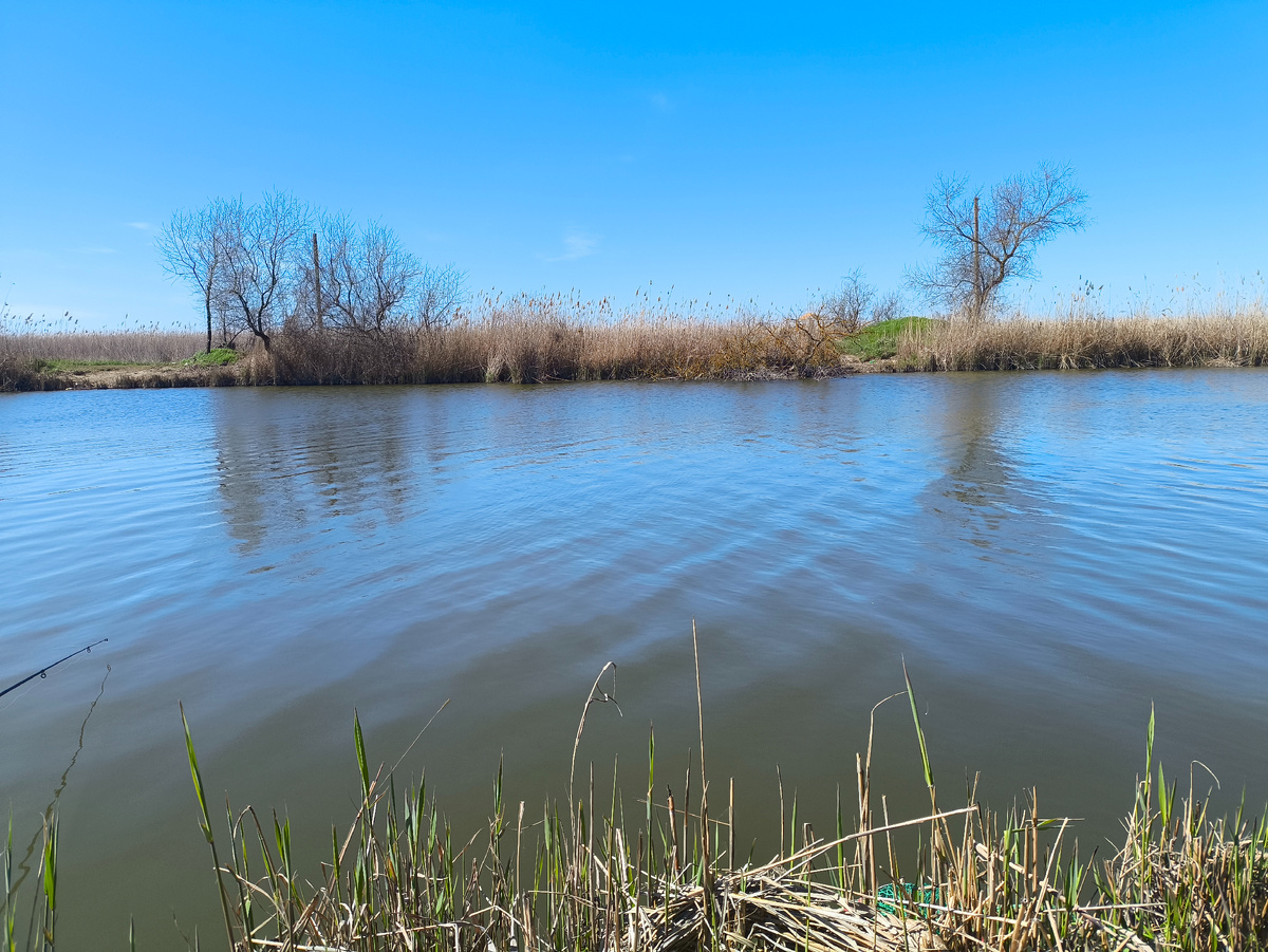 Просто для иллюстрации 