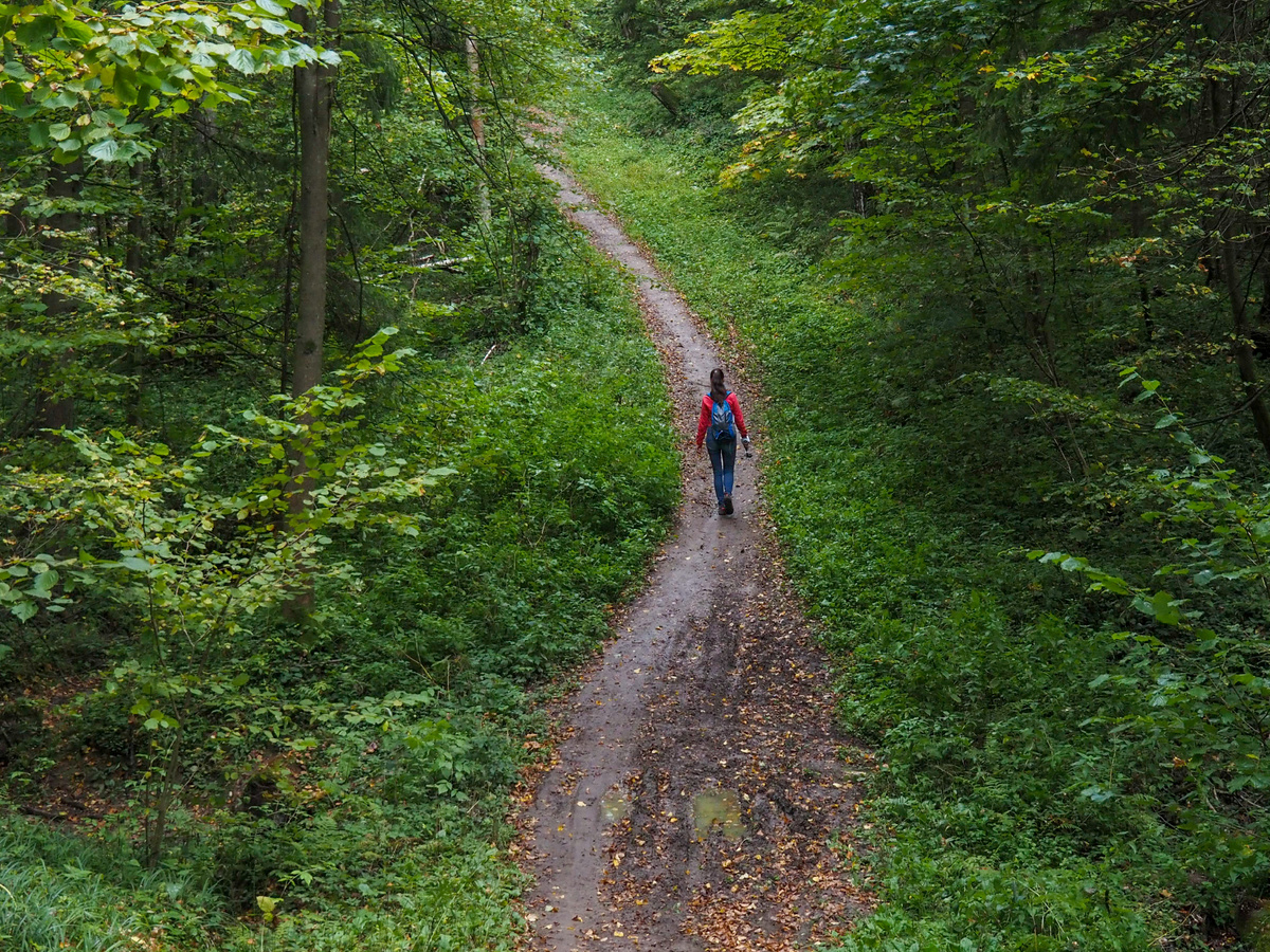 Красногорскими виражами. Фото Павел Каманин