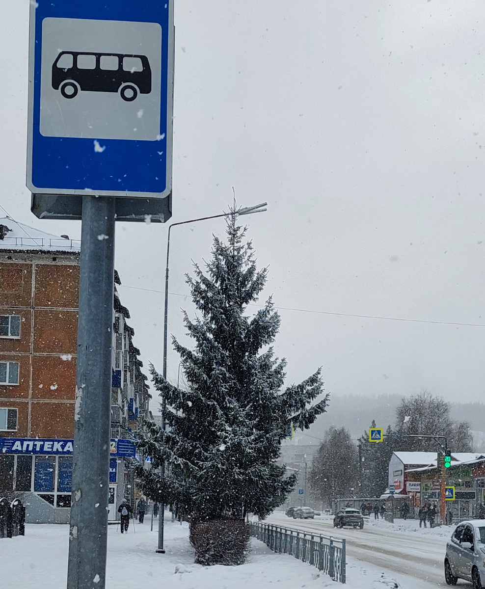 Погодка нас тоже не жаловала...Снег с ветром.