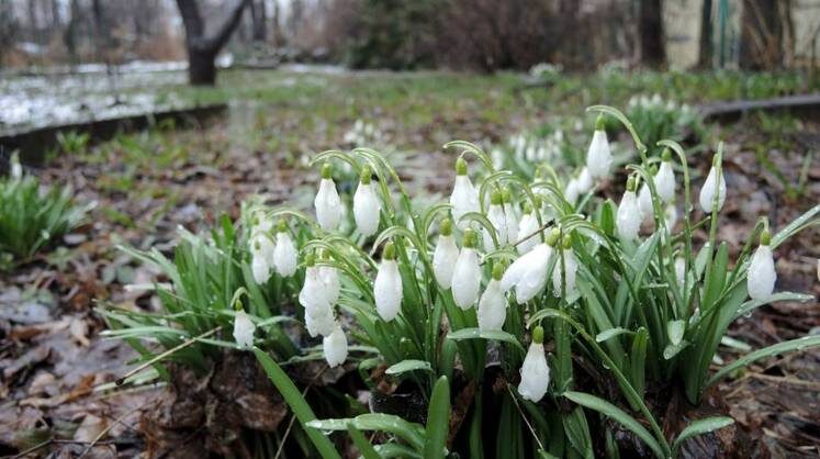    пресс-служба правительства