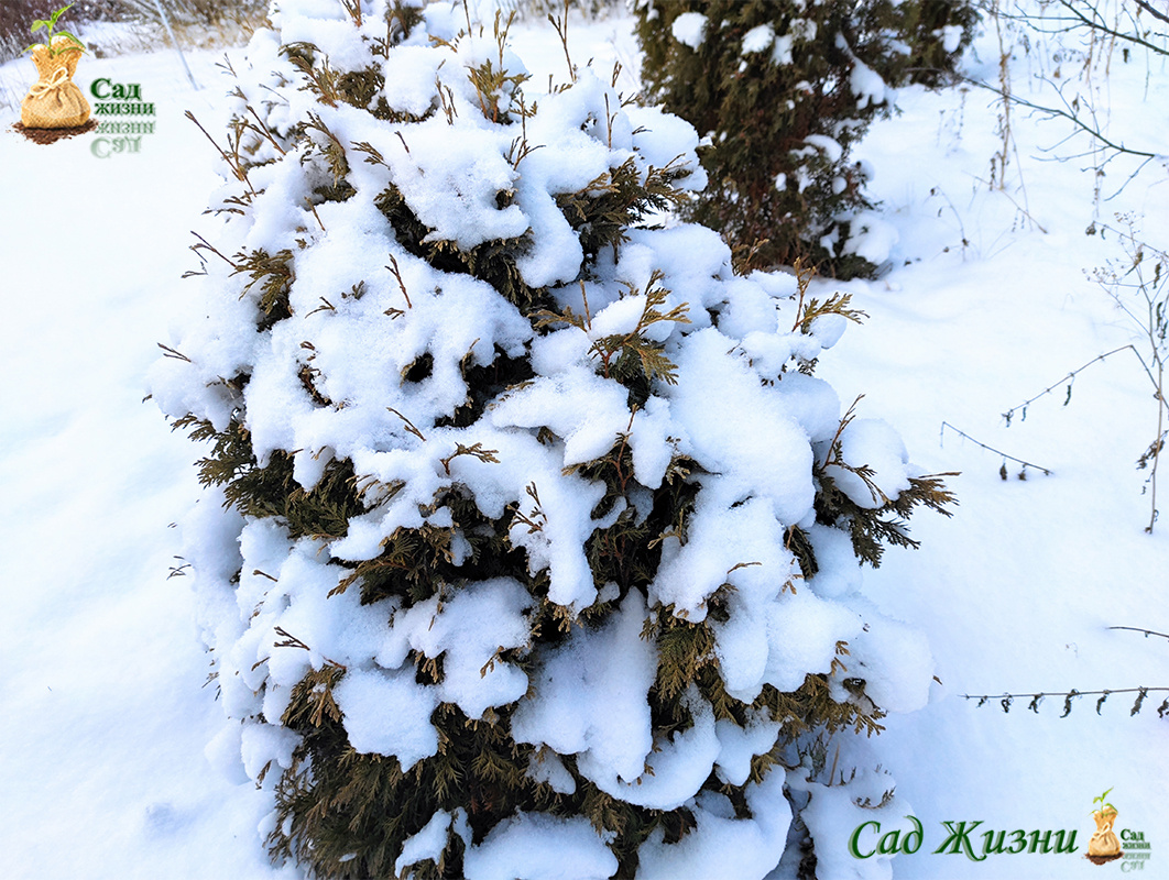 А вы знаете, сколько градусов под слоем снега?