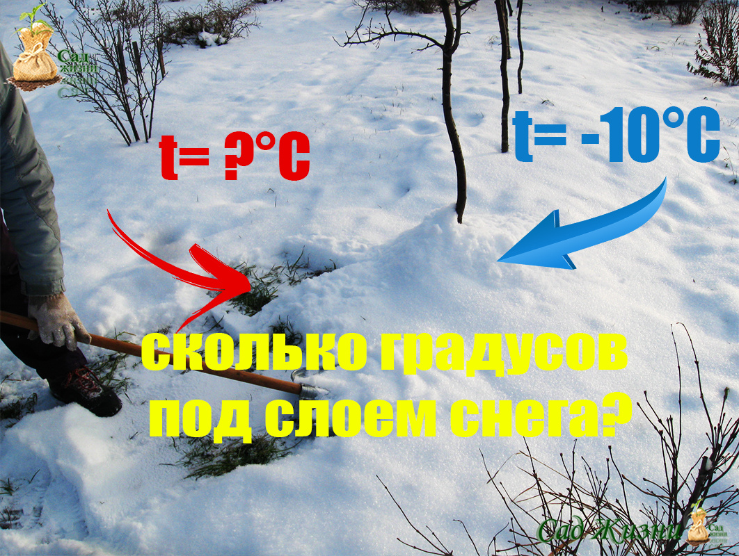 А вы знаете, сколько градусов под слоем снега?