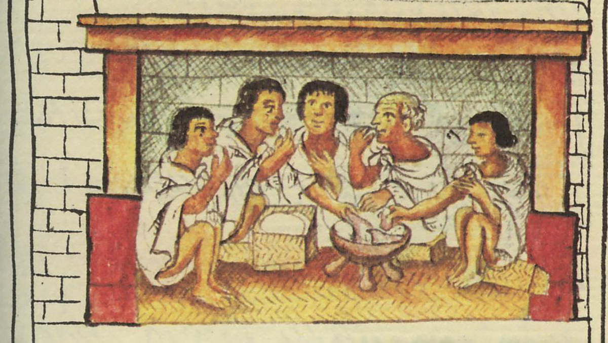     Фото: Wikipedia.org К 500 г. до н.э. люди уже культивировали авокадо