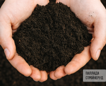 Чернозем фото