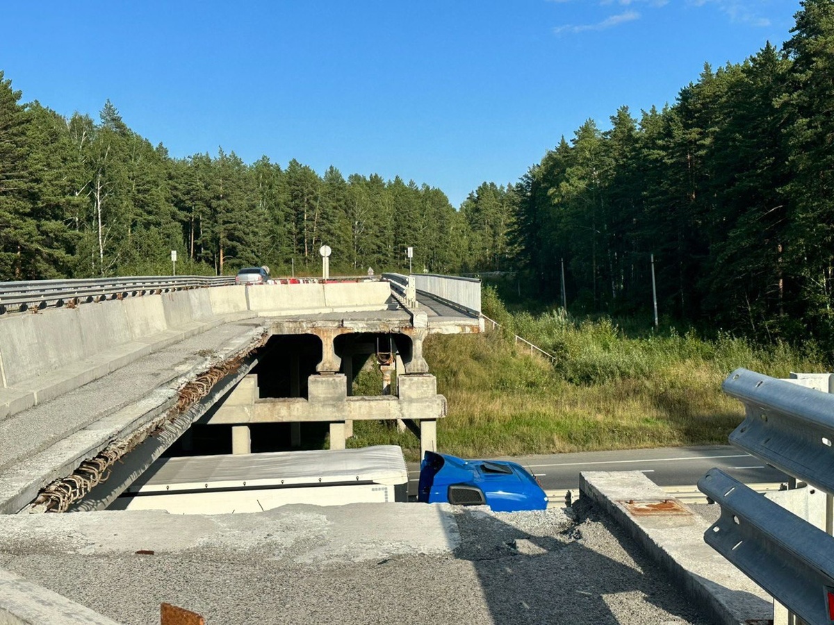     Фото: «Щит Малой Родины»