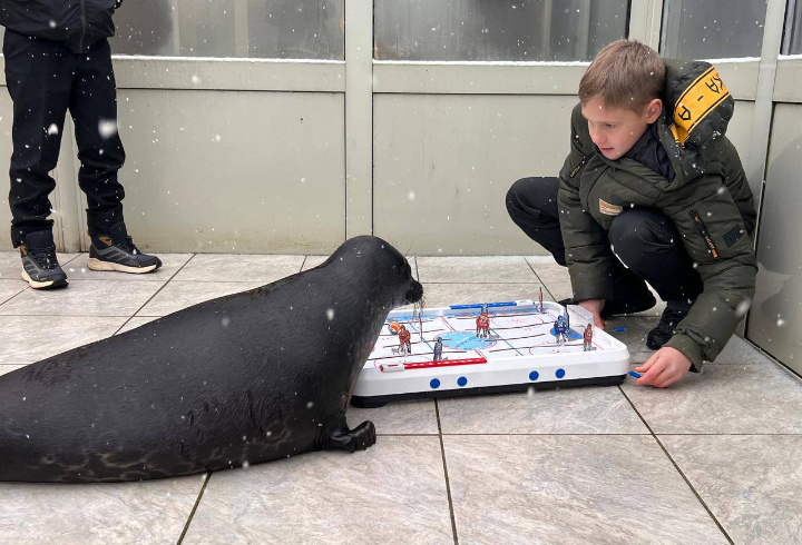 фото: t.me/sealresque