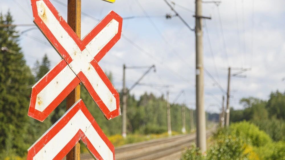    Фото: Grigory Lugovoy/Shutterstock/Fotodom