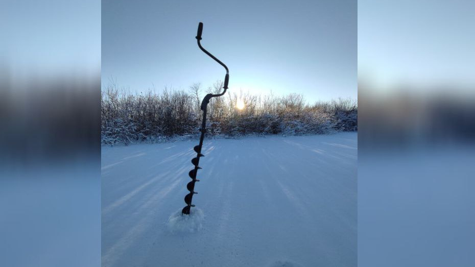    Фото: предоставлено "Вестям-Томск" Василием