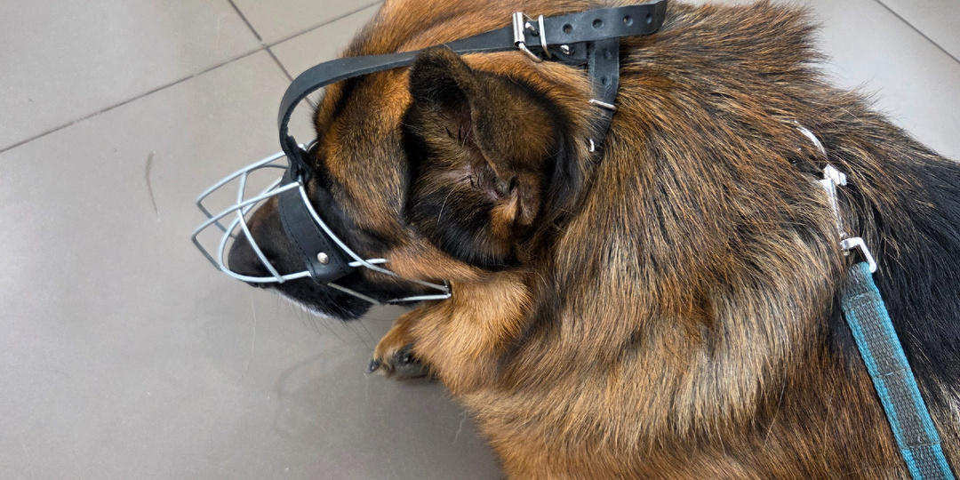 Наши новости о здоровье