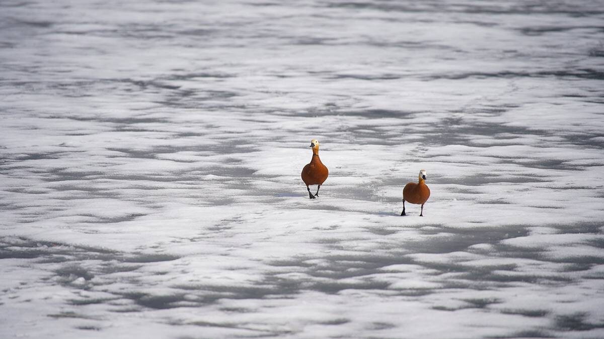    Фото: Александр Авилов / АГН Москва