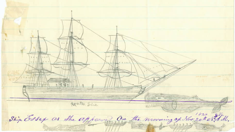 Рисунок Томаса Никерсона, запечатлевшего атаку кашалота на корабль 20 ноября 1820 года.📷Фото: Thomas Nickerson / Nantucket Historical Association / Wikimedia