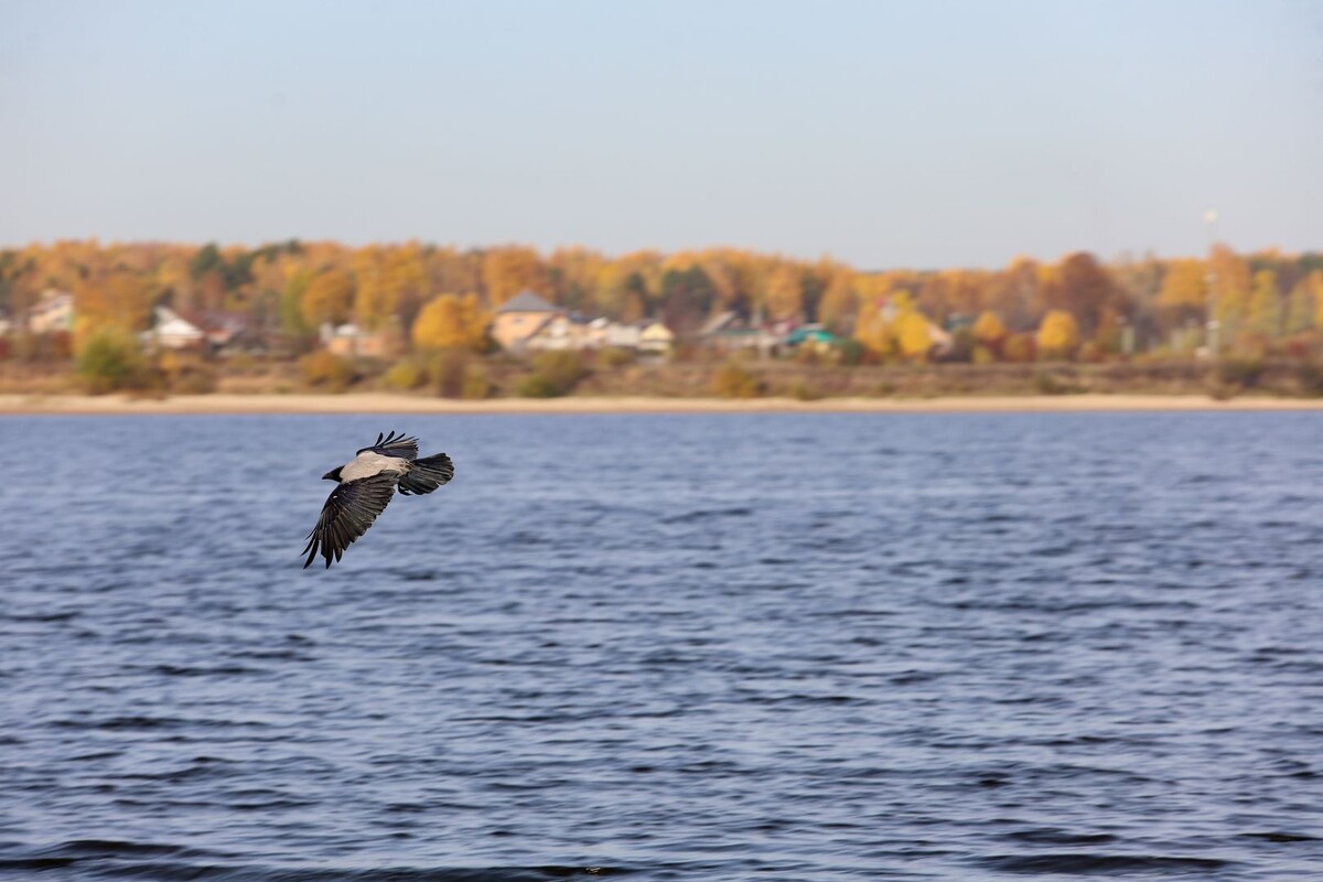     / Источник: © Elena Mayorova/Global Look Press