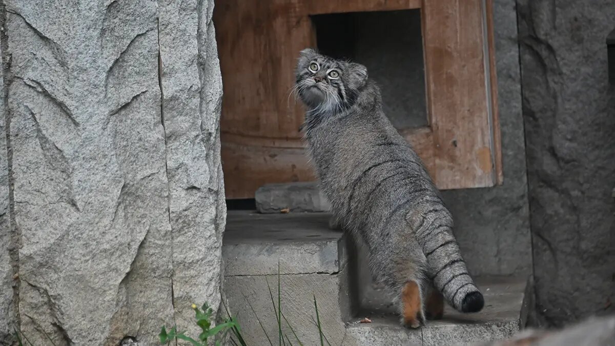    Фото: vm.ru Полина Белоусова