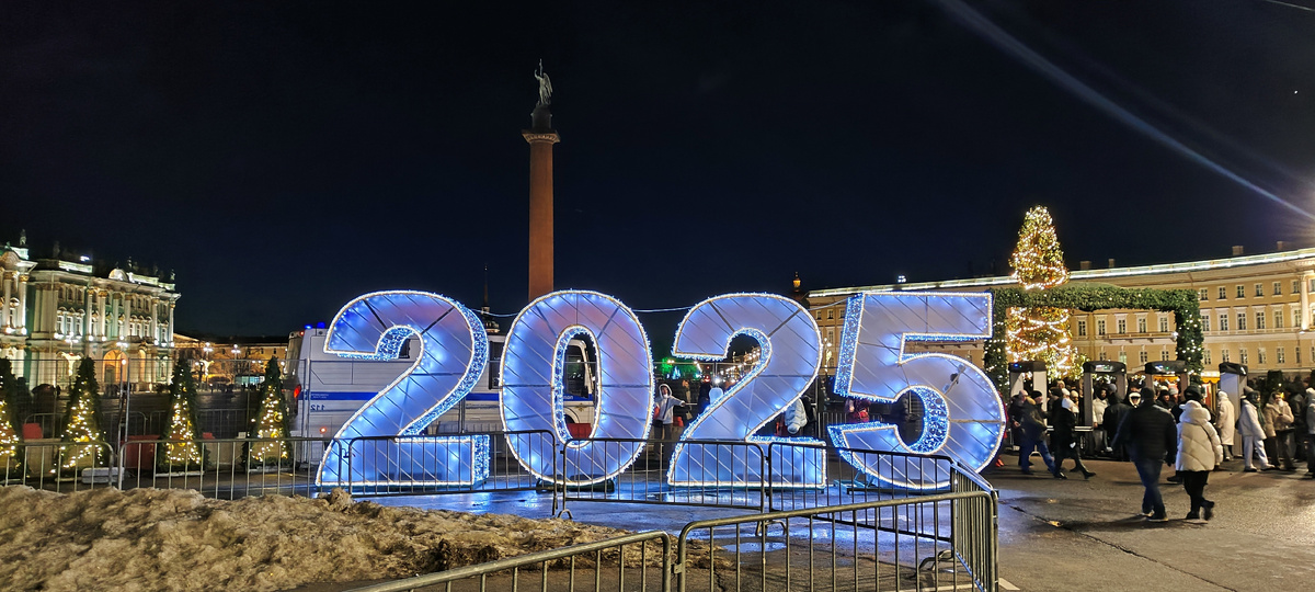 Новый год 2024-2025